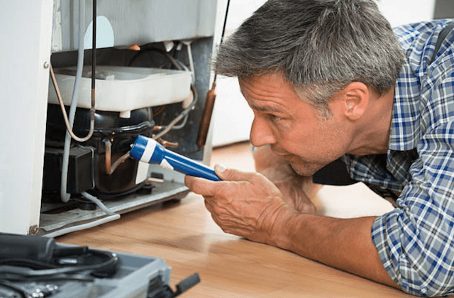 Larian refrigerator repairman